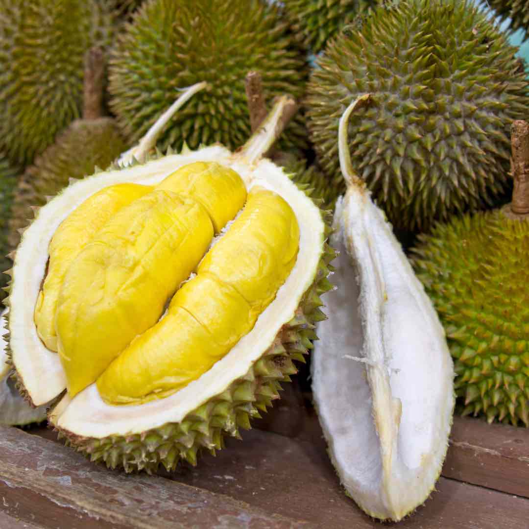 fruta apestosa llamada durian que se encuentra en toda asia