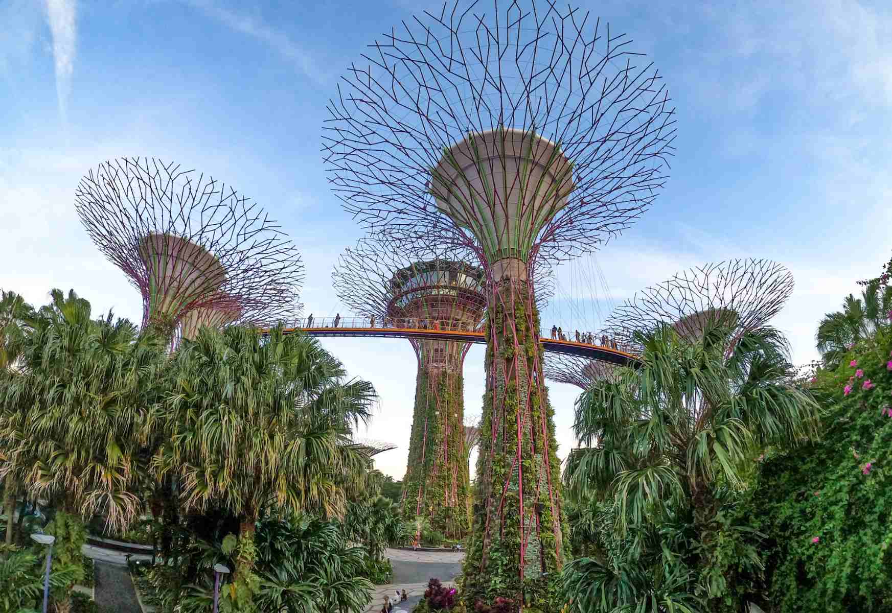 Garden by the bay, guía de viaje Singapur 
