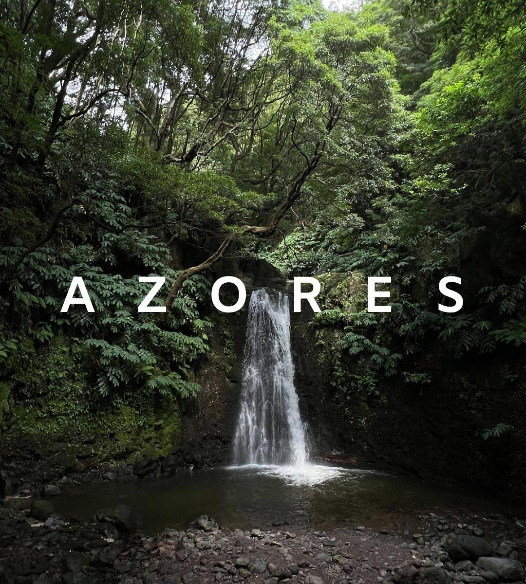 Cascada escondida entre bosque frondoso, Azores